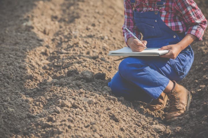Soil sampling